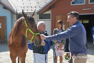 Predsednik Pahor na kasaških dirkah v Ljutomeru 4